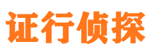 天元市私家侦探